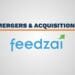 Feedzai M&A