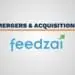 Feedzai M&A
