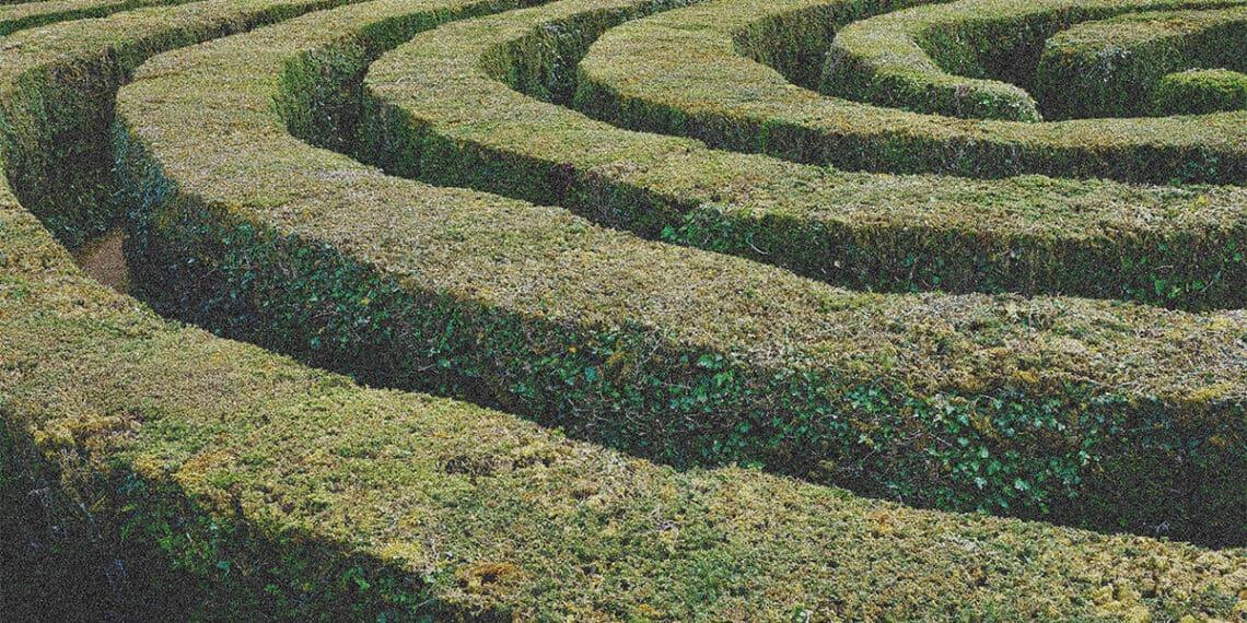 hedge maze