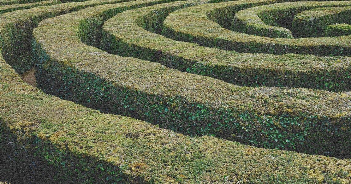 hedge maze