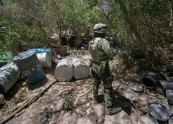 drug cartel soldier camo