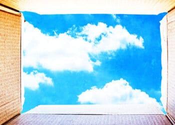 seeing outside the box