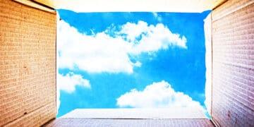 seeing outside the box