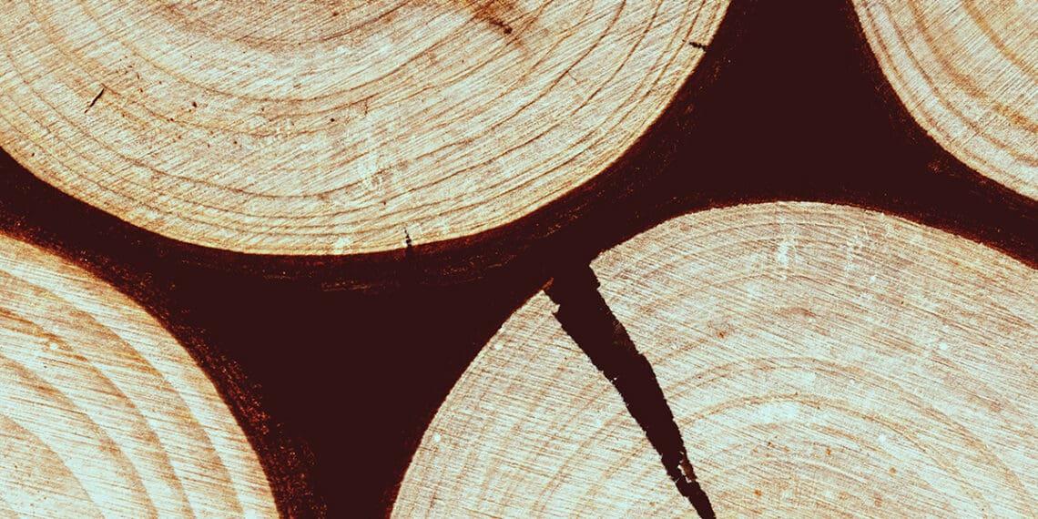 disruption concept logs split