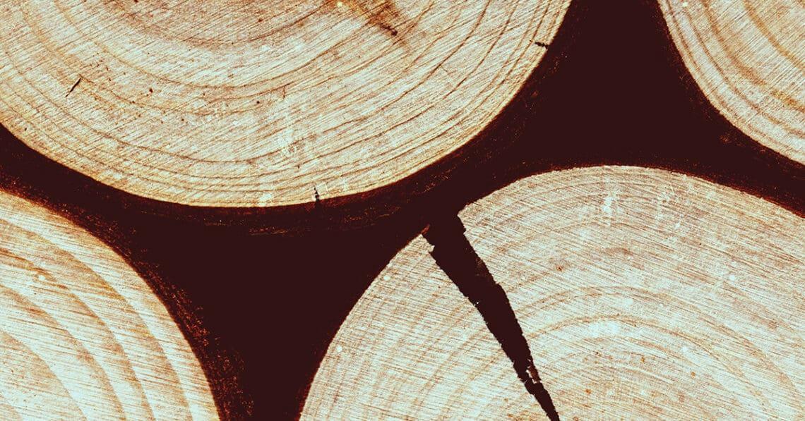 disruption concept logs split