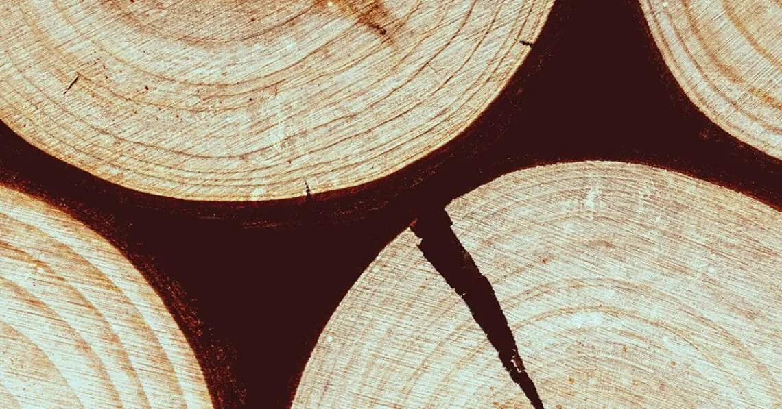 disruption concept logs split