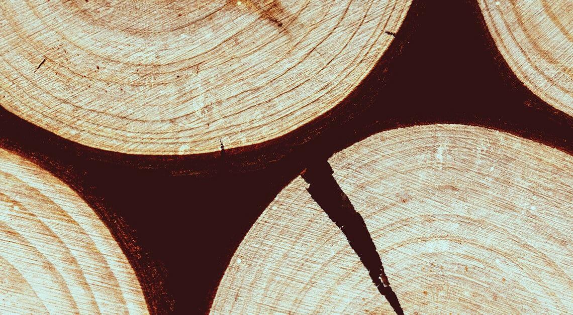 disruption concept logs split