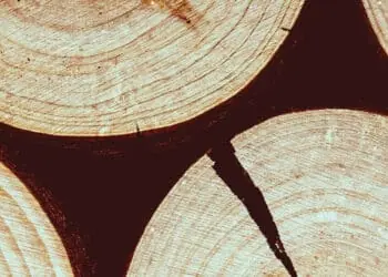 disruption concept logs split