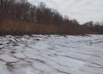 polluted water