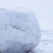 snowball building up