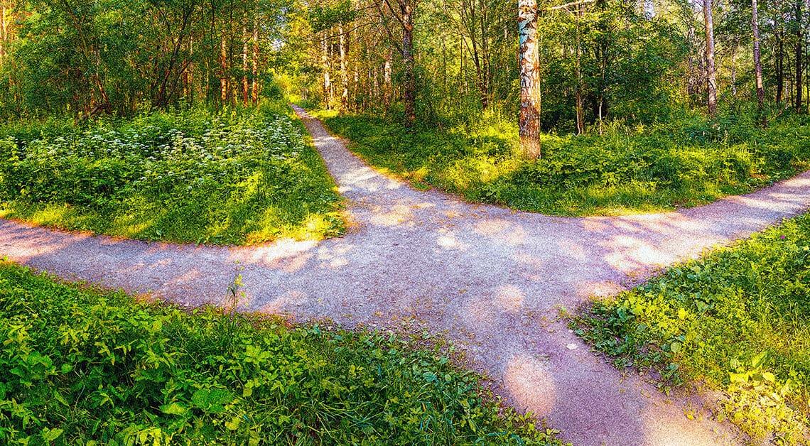 three paths in a wood