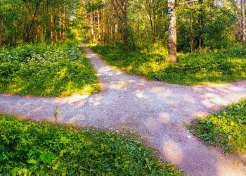 three paths in a wood