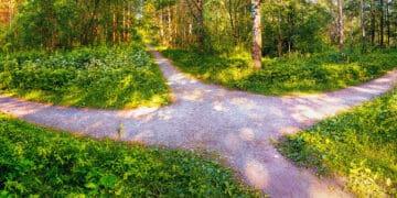 three paths in a wood