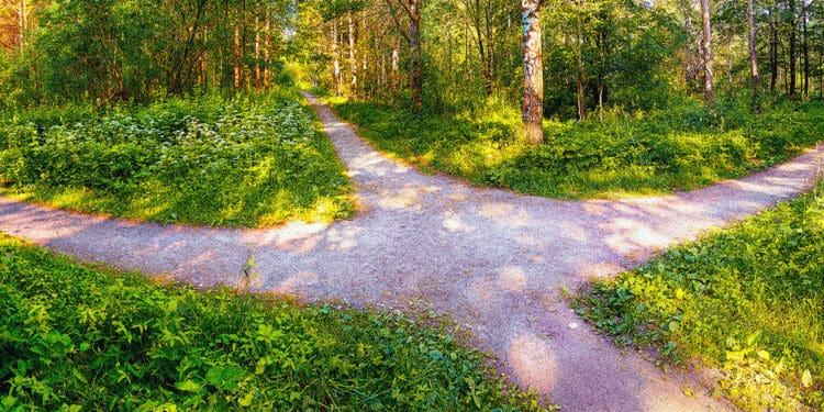 three paths in a wood