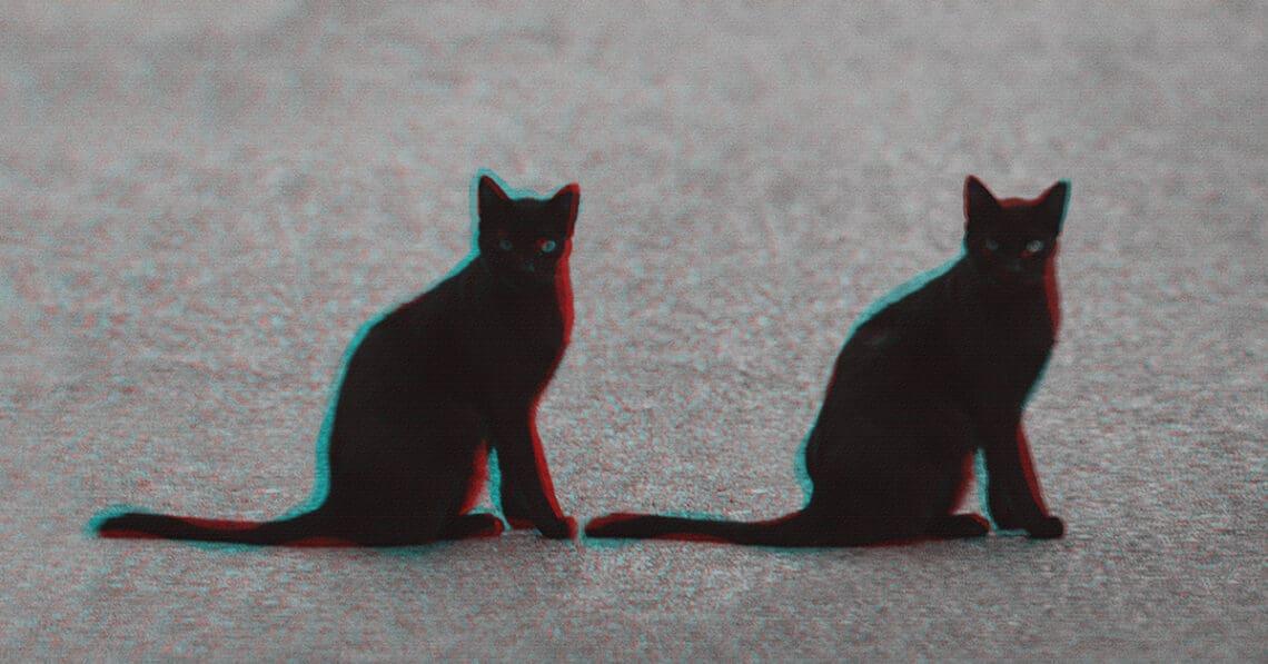 two black cats representing deja vu