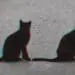 two black cats representing deja vu