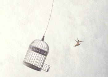 bird flying free from cage