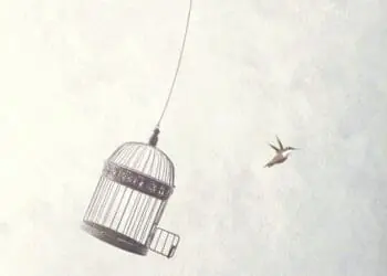 bird flying free from cage