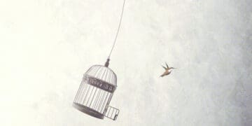 bird flying free from cage