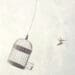 bird flying free from cage