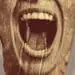 person with screaming face