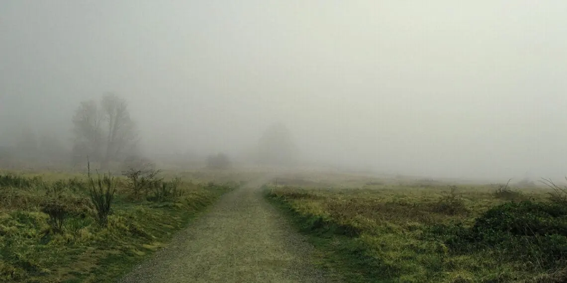 uncertain path forward misty road
