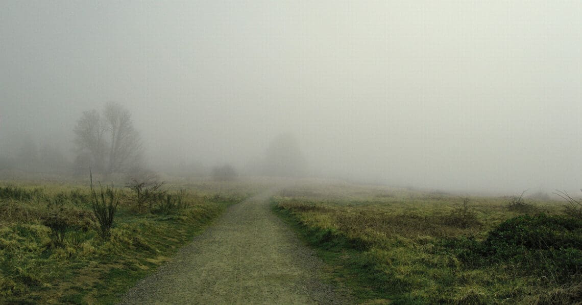 uncertain path forward misty road