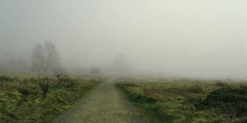 uncertain path forward misty road