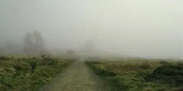 uncertain path forward misty road