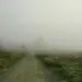 uncertain path forward misty road