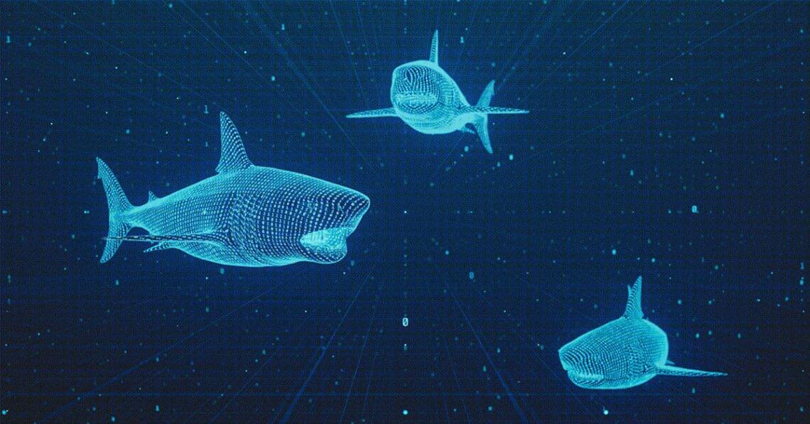 sharks digital risk concept