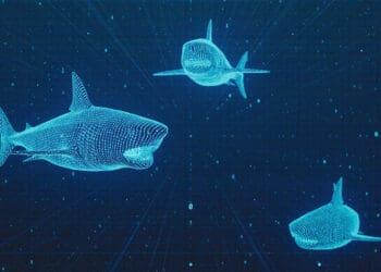 sharks digital risk concept