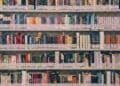 school library shelves