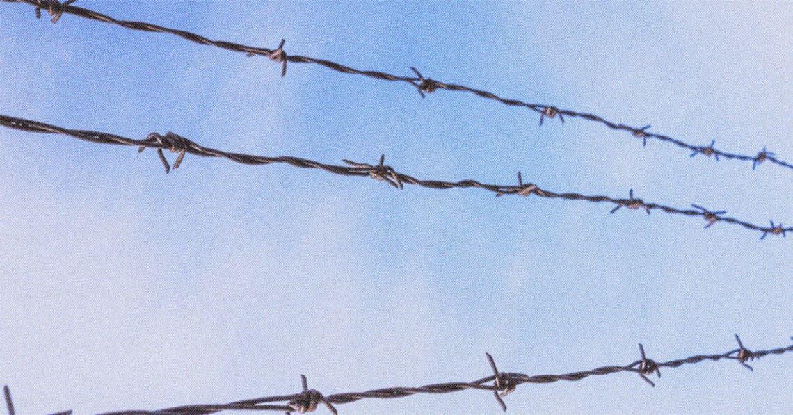 three lines of barbed wire