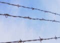 three lines of barbed wire