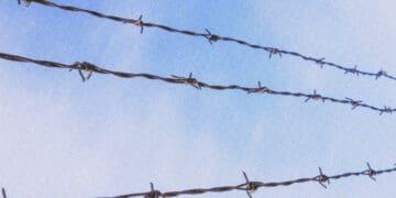 three lines of barbed wire