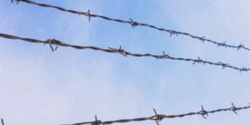 three lines of barbed wire