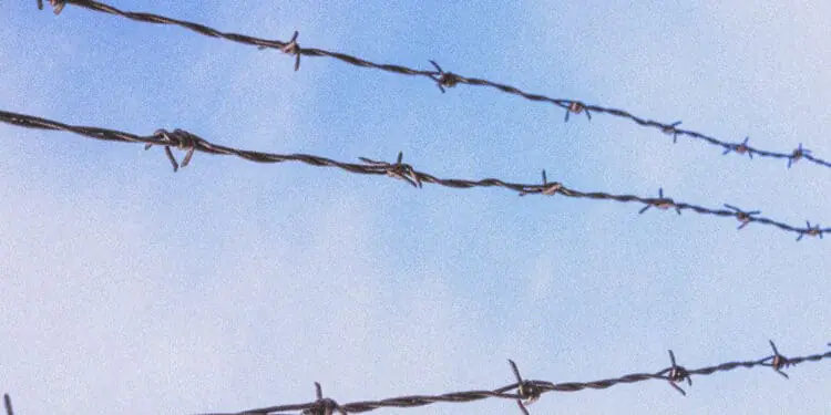 three lines of barbed wire