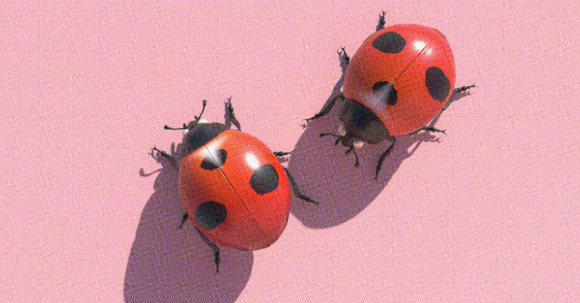 bug bounty concept
