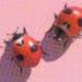 bug bounty concept