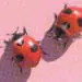bug bounty concept