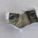 dollar obscured by torn paper