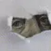 dollar obscured by torn paper