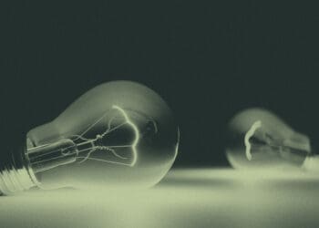 light bulbs lying on table
