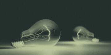 light bulbs lying on table