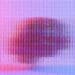 brain obscured behind glass