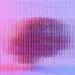brain obscured behind glass