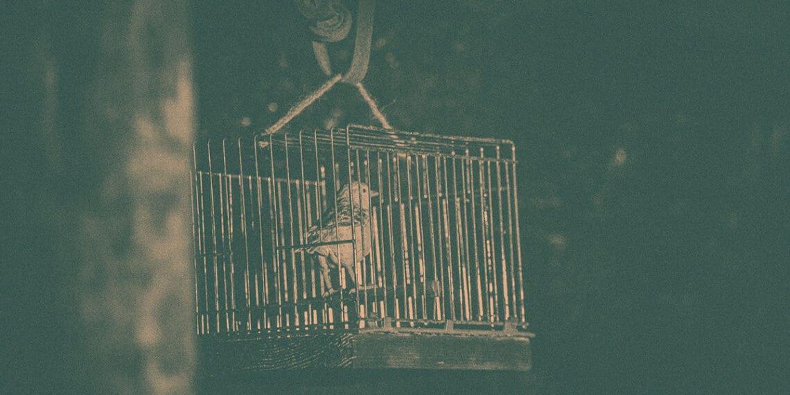 exhibit of canary in coal mine