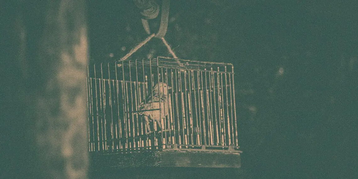 exhibit of canary in coal mine