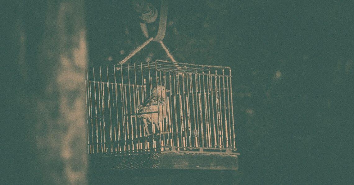 exhibit of canary in coal mine